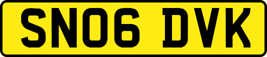 SN06DVK