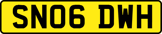 SN06DWH
