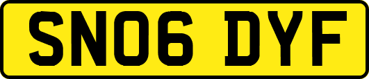 SN06DYF