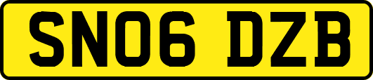 SN06DZB