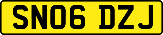 SN06DZJ
