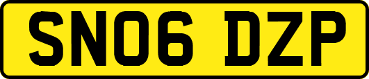 SN06DZP