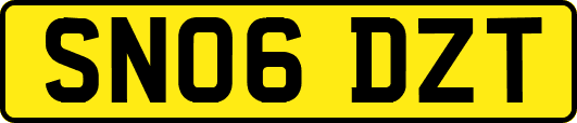 SN06DZT
