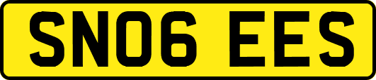 SN06EES
