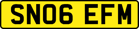 SN06EFM