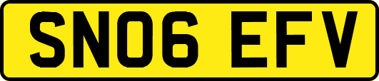 SN06EFV