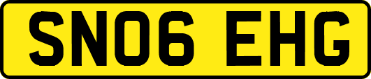 SN06EHG