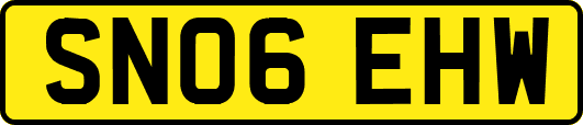 SN06EHW