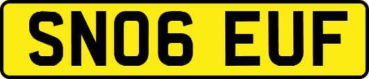 SN06EUF