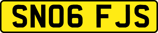SN06FJS