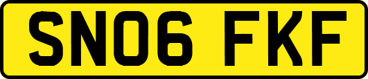 SN06FKF
