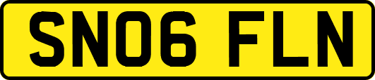 SN06FLN