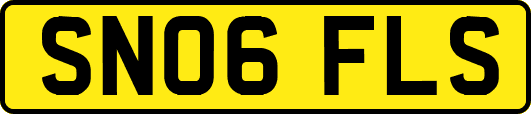 SN06FLS