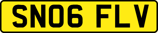 SN06FLV
