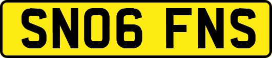 SN06FNS