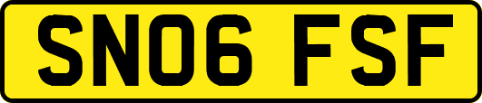 SN06FSF