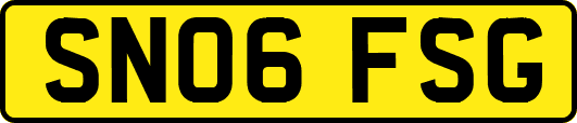 SN06FSG