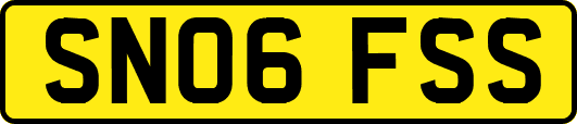 SN06FSS