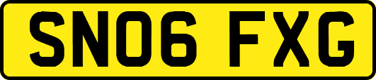SN06FXG