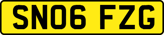 SN06FZG