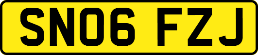 SN06FZJ