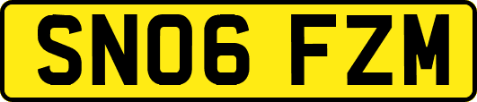 SN06FZM