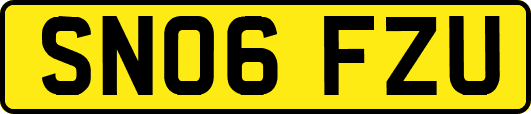 SN06FZU