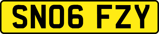 SN06FZY