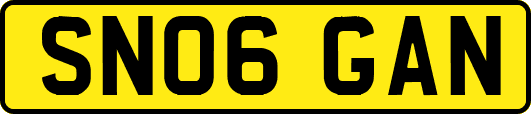 SN06GAN