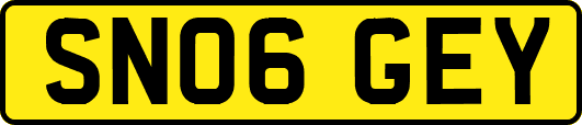 SN06GEY