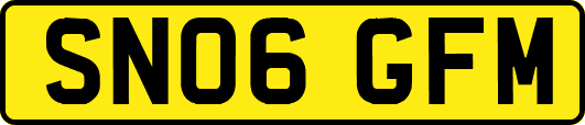 SN06GFM