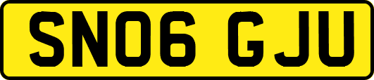 SN06GJU