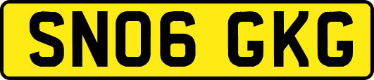SN06GKG