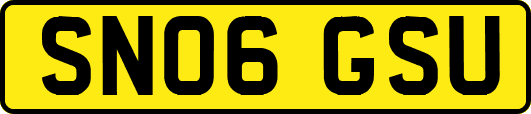 SN06GSU