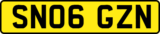 SN06GZN