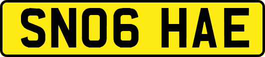 SN06HAE