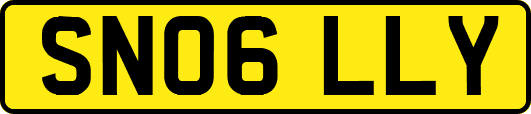 SN06LLY