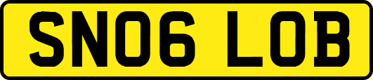 SN06LOB