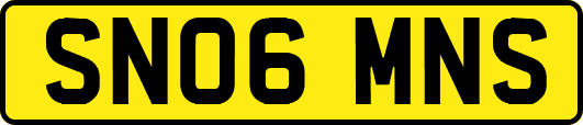 SN06MNS