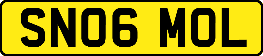 SN06MOL