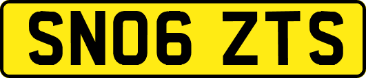 SN06ZTS