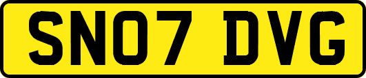 SN07DVG