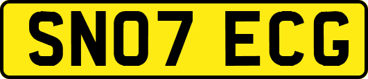 SN07ECG