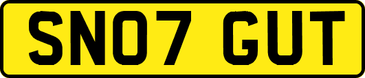SN07GUT