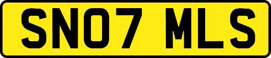SN07MLS