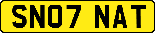 SN07NAT