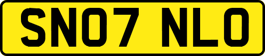 SN07NLO