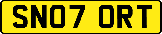 SN07ORT