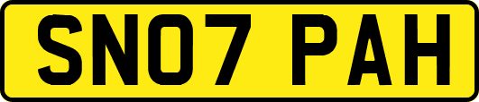 SN07PAH