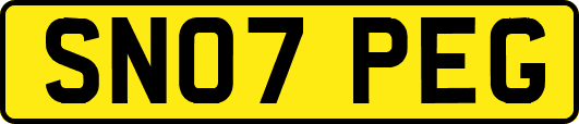 SN07PEG